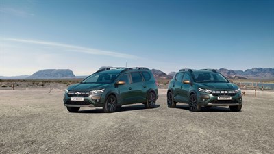 Dacia business customers