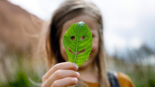 Paprasta ir aiški informacija apie degalų suvartojimą